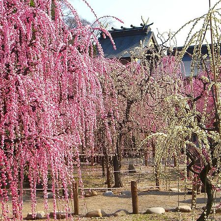 Miyako City Tsu Dış mekan fotoğraf