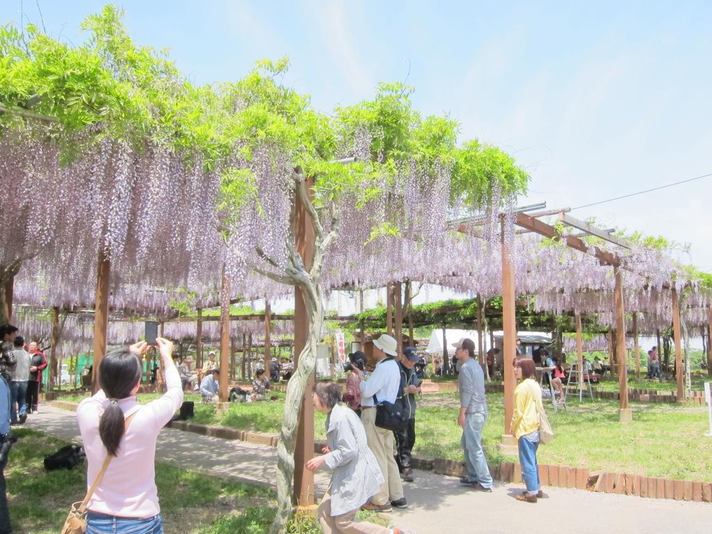 Miyako City Tsu Dış mekan fotoğraf